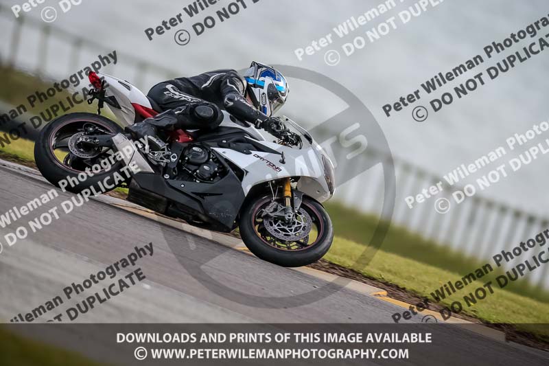 PJ Motorsport 2019;anglesey no limits trackday;anglesey photographs;anglesey trackday photographs;enduro digital images;event digital images;eventdigitalimages;no limits trackdays;peter wileman photography;racing digital images;trac mon;trackday digital images;trackday photos;ty croes
